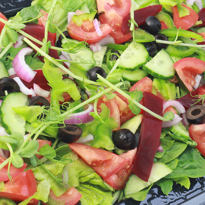 Garden Salad - Small